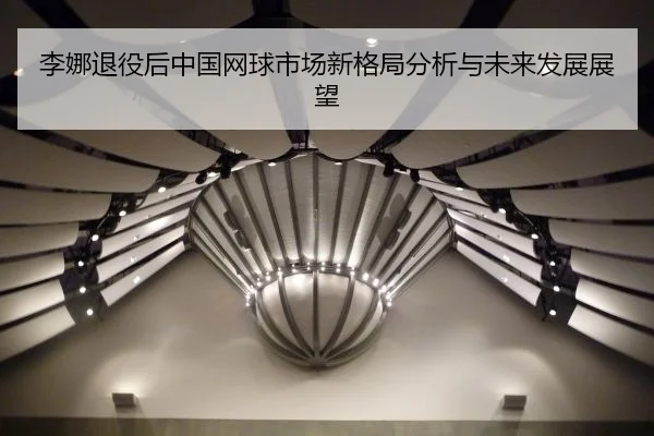 李娜退役后中国网球市场新格局分析与未来发展展望